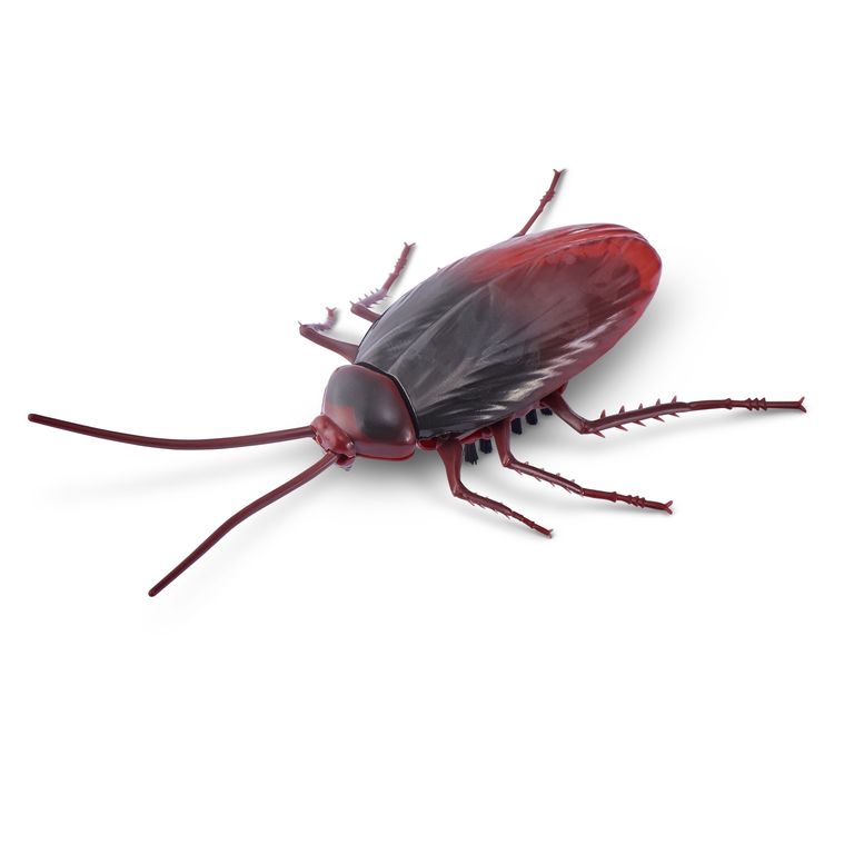 Cucaracha Robótica Robo Alive