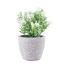 CASA JOVEN - Flores Pompom Con Maceta Cemento