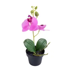 REDFIELD - Orquídea con Florero Negro