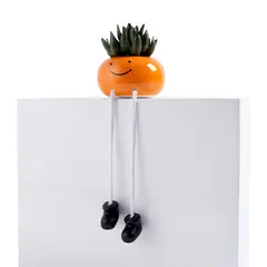 REDFIELD - Flores con Maceta Frutas