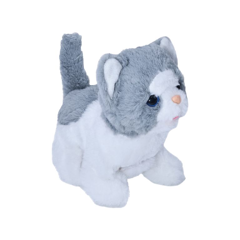 Gatito en su Casa