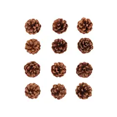 undefined - Set x 12 Piñas Naturales