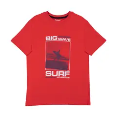 REDWOOD - Polo Manga Corta Estampado Teen Niño