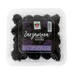HORTIFRUT - Zarzamora Hortifrut x 100 g