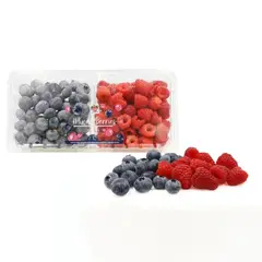 HORTIFRUT - Mix Arándano Frambuesa Hortifrut 340 g