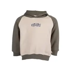 REDWOOD - Sudadera Hoodie Dino Bebé Niño Redwood