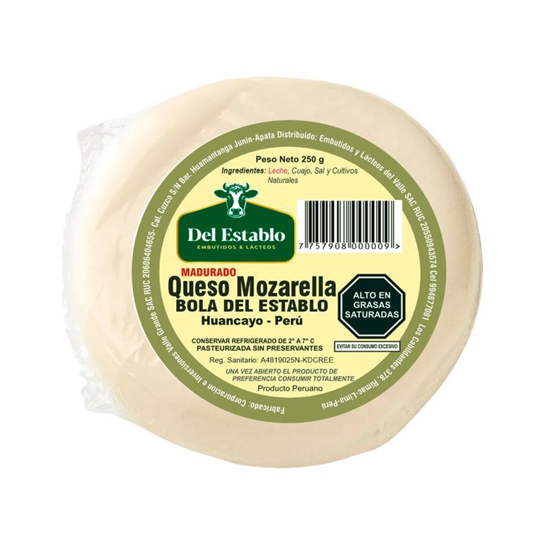 Queso Mozarella Del Establo Empaque 250 g