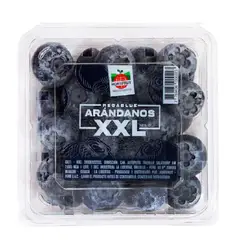 HORTIFRUT - Arándanos XXL Hortifrut 125 g