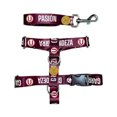 UNIVERSITARIO - Pechera Universitario Talla L