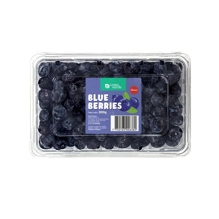 Arándanos Casa Verde 300 g