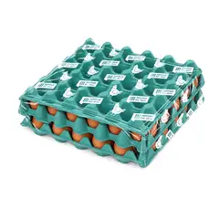 TOTTUS - Huevos Pardos Laminados Tottus Bandeja 60 Und